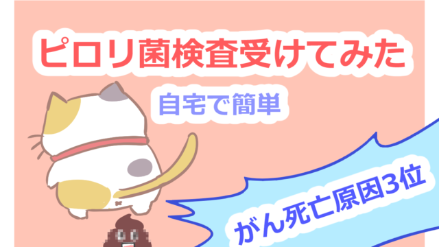 腹筋女子 ぽっこりお腹の胃下垂女でも腹筋割れた 初心者向け筋トレ方法 ふゆこサバイバル